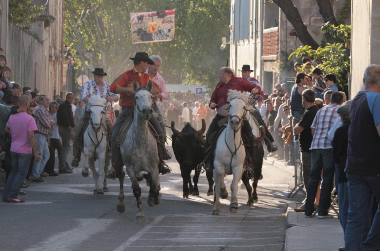 Gite De Vacances En Camargue ☆☆Nn Вовер Экстерьер фото