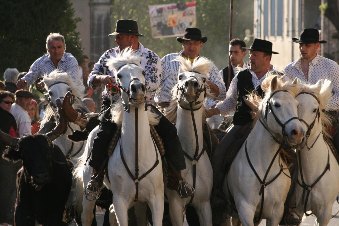 Gite De Vacances En Camargue ☆☆Nn Вовер Экстерьер фото